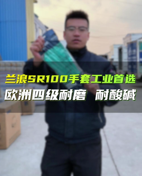 兰浪RS100 耐磨耐酸碱