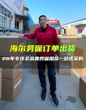 海尔劳保订单出货