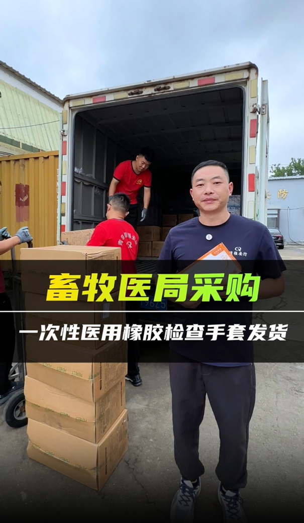 畜牧医局采购一次性医用橡胶检查手套